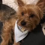 Brooklyn Bentley B - @brooklynbentleyb - Instagram