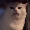 brooklyn - @brooklyn.best - TikTok