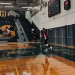 brooklyn bird - @brooklynbird3 - Instagram