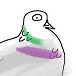 brooklyn_birder - @brooklyn_birder - Instagram