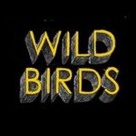 Wild Birds Venue / Bar - @wildbirdsbrooklyn - Instagram