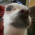 Brooklyn Bonner - @cheese_ballz888 - Instagram