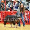 b - @brooklyn.boone.pigs - TikTok