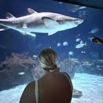 b - @brooklyn_bowman9 - Instagram