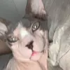 brooklynn - @brooklynn.boyce - TikTok