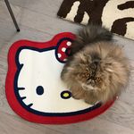Brooklyn Braun - @the_real_brooklyn_kitty - Instagram