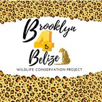 Brooklyn Braun - @brooklyn4belize - Instagram
