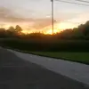 Brooklyn Brewer - @brooklyn.brewer41 - TikTok
