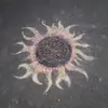 Brooklynn - @brooklynbrewer.main - TikTok