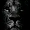 Brooklyn Brooks - @brooklyn.brooks8 - TikTok