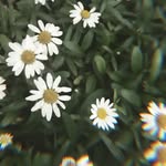 Brooklyn - @notbrooklyn_bruner - Instagram