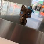 Brooklyn Bryant - @lps_pineapple12 - Instagram