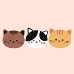 Brooklyn’s Bunch of Cats - @brooklynsbunchofcats - Instagram