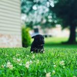 Brooklyn Burchard - @brooklyn.burchard - Instagram