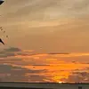 @brooklynburch21 - @brooklynburch21 - TikTok