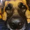 brooklyn_cain - @brooklyn_cain - TikTok