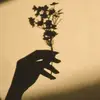 Brooklyn.Calhoun - @brooklyn.calhoun22 - TikTok