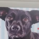 brooklyn campbell - @brooklyncampbell9902 - Instagram