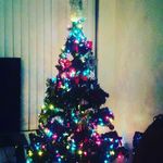 Brooklyn Carpenter - @carpenter.brooklyn - Instagram