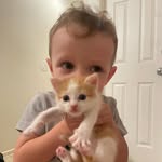 brooklyn carris - @brooklyncarris - Instagram