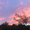brooklyncarr - @brooklyncarr2 - TikTok