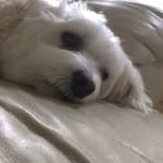 Brooklyn Charles - @brooklyn.charles1 - Instagram