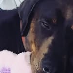 Brooklyn Coates - @coatesbrooklyn - Instagram