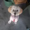 Brooklyn Collins - @brooklyn.collins34 - TikTok