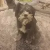 Brooklyn Lloyd-collins - @brooklyn.lloydcol - TikTok