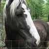 brooklynn - @brooklynncross4 - TikTok
