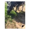 Brooklyn Cunningham  - @http.brooklynn.__ - TikTok