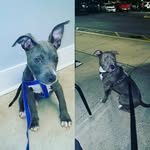 @brooklyncurry87 - Instagram