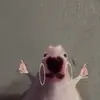 Brooklynn - @brooklynndaugherty - TikTok