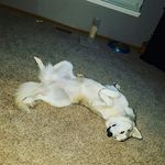 Brooklyn Dawson - @brooklyn_dean_2005 - Instagram