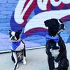 Brooklyn Doherty - @brooklynandtyson0 - TikTok