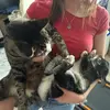 Brooklyn - @brooklyn.dossey - TikTok