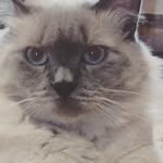 Brooklyn - @brooklyndyer1234 - Instagram