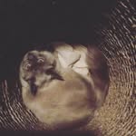 Brooklyn - @brooklyndyer1010 - Instagram