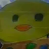 duck_nugy_myduckname_is flower - @brooklynembra3 - TikTok