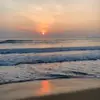 Brooklyn Farmer - @giovanni_ellis847633 - TikTok