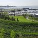 Brooklyn Bridge Park - Pier 5 , Soccer Field - Facebook