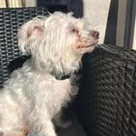 Brooklyn Fitzpatrick - @alwaysbored4002 - Instagram