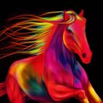Brooklyn Fleming - @brooklynfleming338728 - Instagram