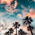 Brooklyn Floyd - @floydbrooklyn - Instagram