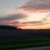 brooklyn - @brooklyn.frederick26 - TikTok