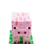 Brooklyn Freeman - @minecraft__pet__pig - Instagram