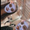 Brooklyn Gilmore - @brooklyn_girlxox - TikTok