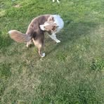 Brooklyn Goodall - Facebook