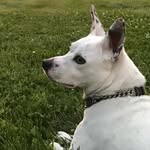 brooklyn-manuel miranda goodman - @brooklynandherspots - Instagram
