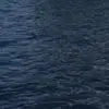 brooklyn_gordon - @brooklyn_gordon - TikTok